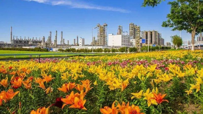 塑料原料环保标准厂家排名